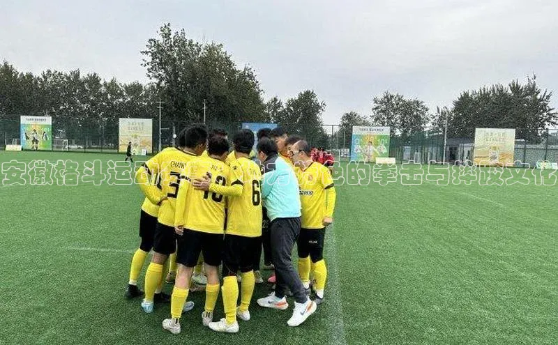 熊猫体育app官方入口宣亚国际安徽格斗运动赛事：地方特色的拳击与摔跤文化