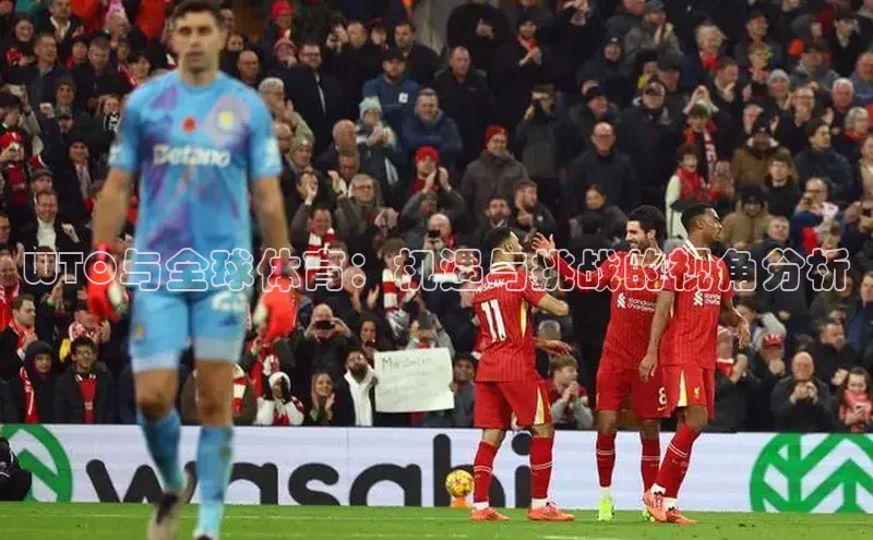 熊猫体育国足直播引力传媒WTO与全球体育：机遇与挑战的视角分析