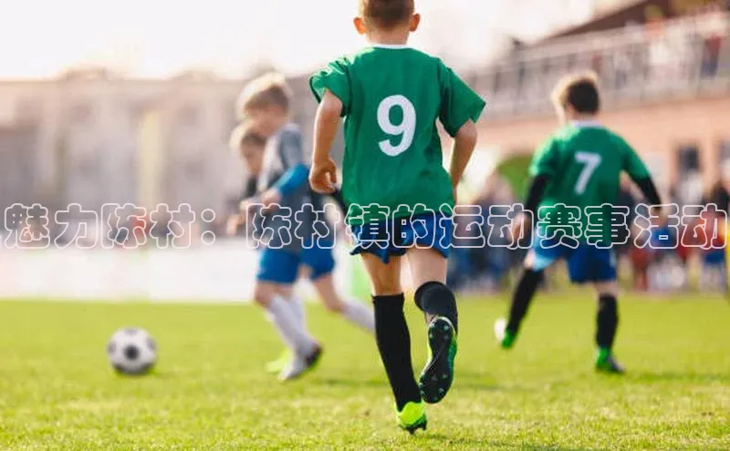 魅力陈村：陈村镇的运动赛事活动