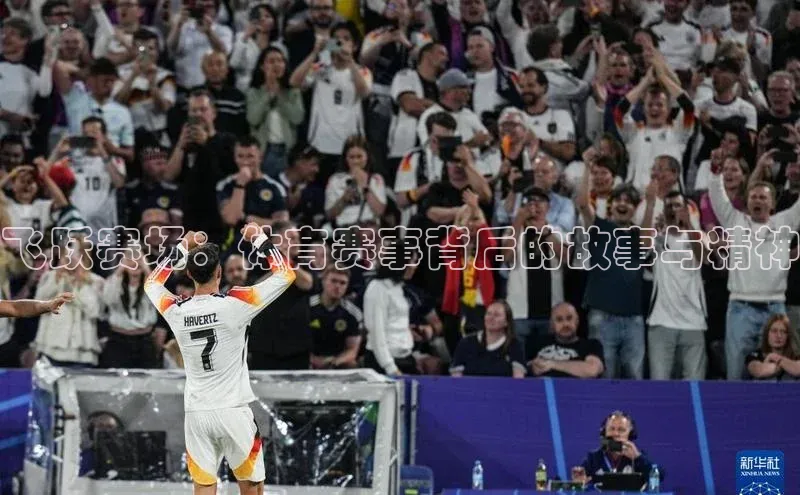 飞跃赛场：体育赛事背后的故事与精神