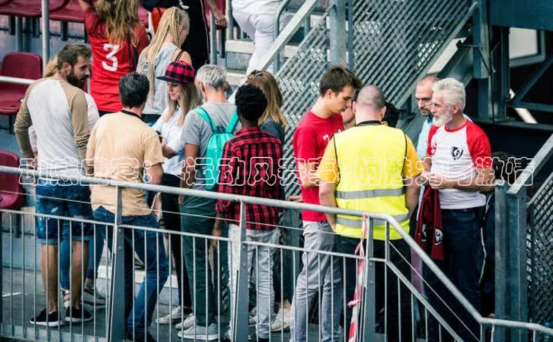 动感盛宴：<运动风赛事>的魅力与激情