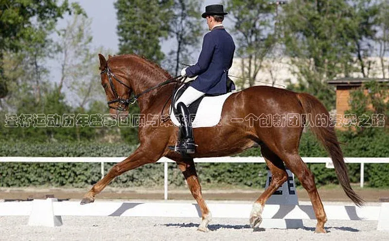 叠杯运动历年盛事回顾与未来展望：一个创新团队的竞赛之路