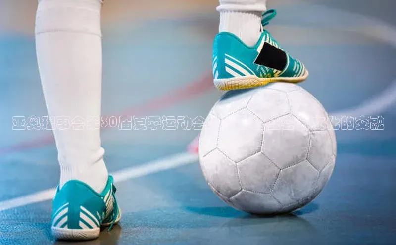 亚奥理事会第30届夏季运动会：运动的盛会与文化的交融