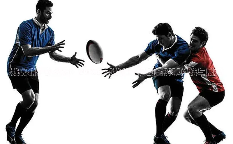 残奥精神的火炬：20XX年度残疾人运动会赛事总结与展望