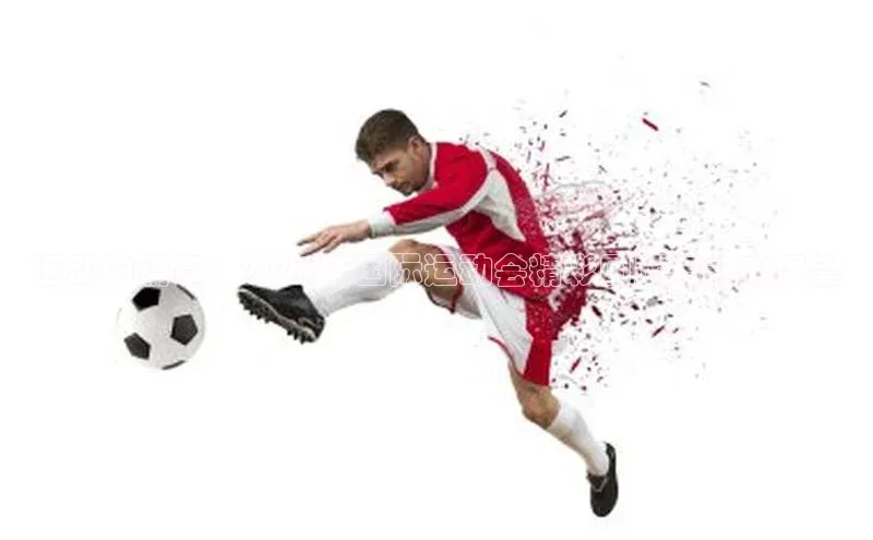 运动的篇章：2023年国际运动会精彩回顾与未来展望