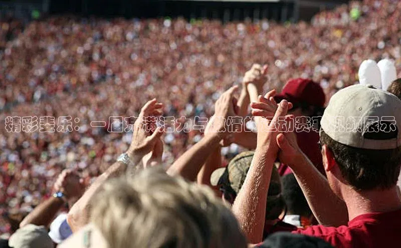 精彩斐乐：一届充满活力与激情的运动赛事视频展示