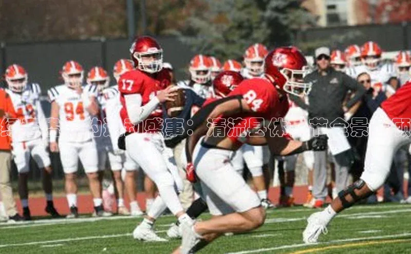 绿意盎然的运动盛事：清流县体育节全景回顾