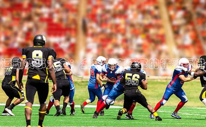 运动赛事大全：全球体育盛宴的精彩瞬间