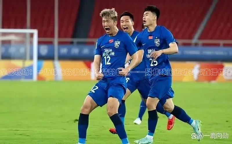 掌舵现场：一场球迷的激情与激情的碰撞——聚焦球迷运动赛事直播体验