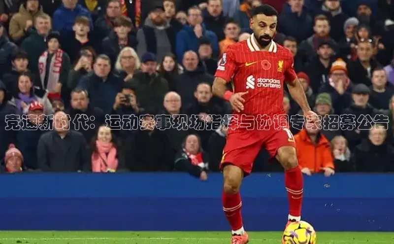 竞速新时代：运动赛事现场指挥与协调专家招募公告