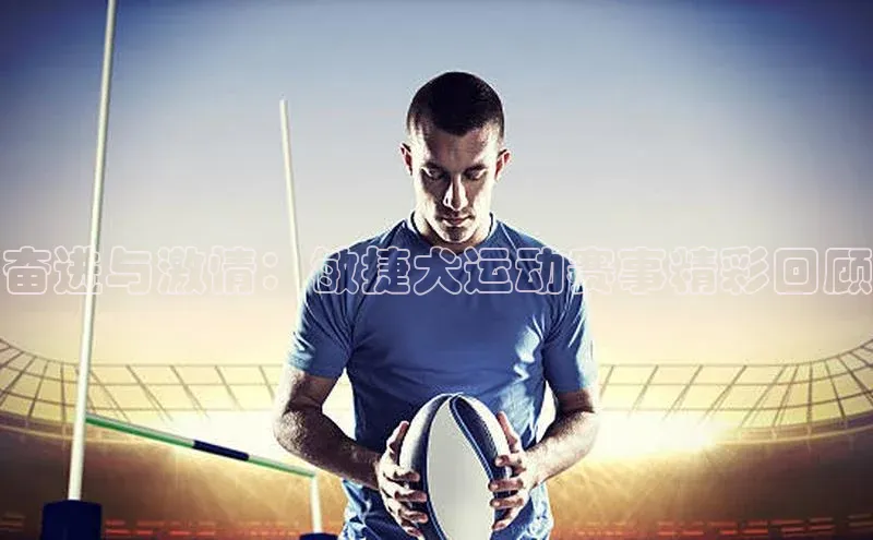 奋进与激情：敏捷犬运动赛事精彩回顾