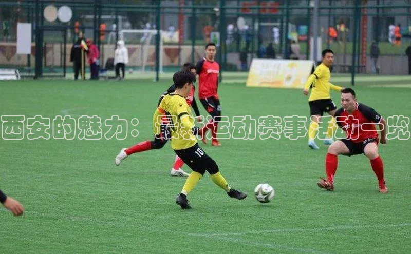 西安的魅力：最新运动赛事活动一览