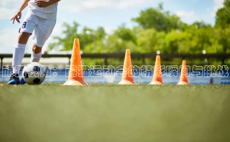 熊猫视角：熊猫运动会的精彩瞬间与挑战