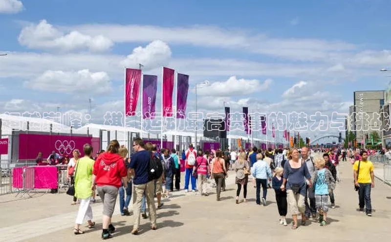 超越巅峰：棋类运动最高赛事的魅力与挑战