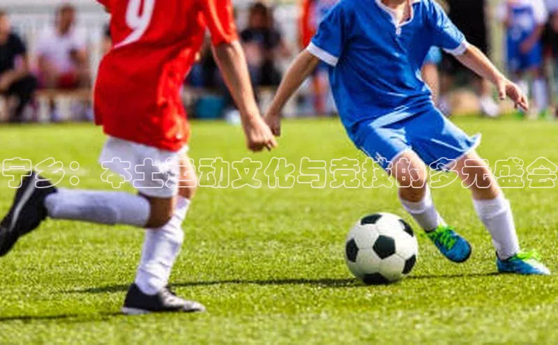 熊猫足球直播免费观看