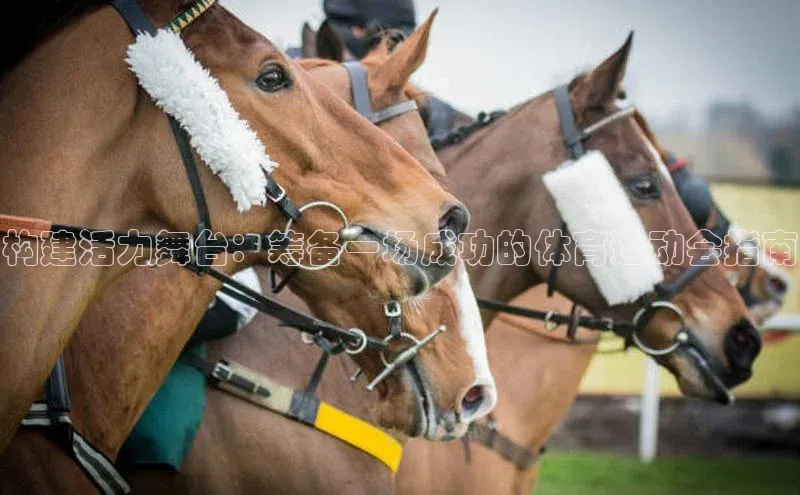 熊猫体育app下载安装免费吗