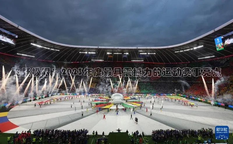 飞跃极限：2023年度最具震撼力的运动赛事亮点